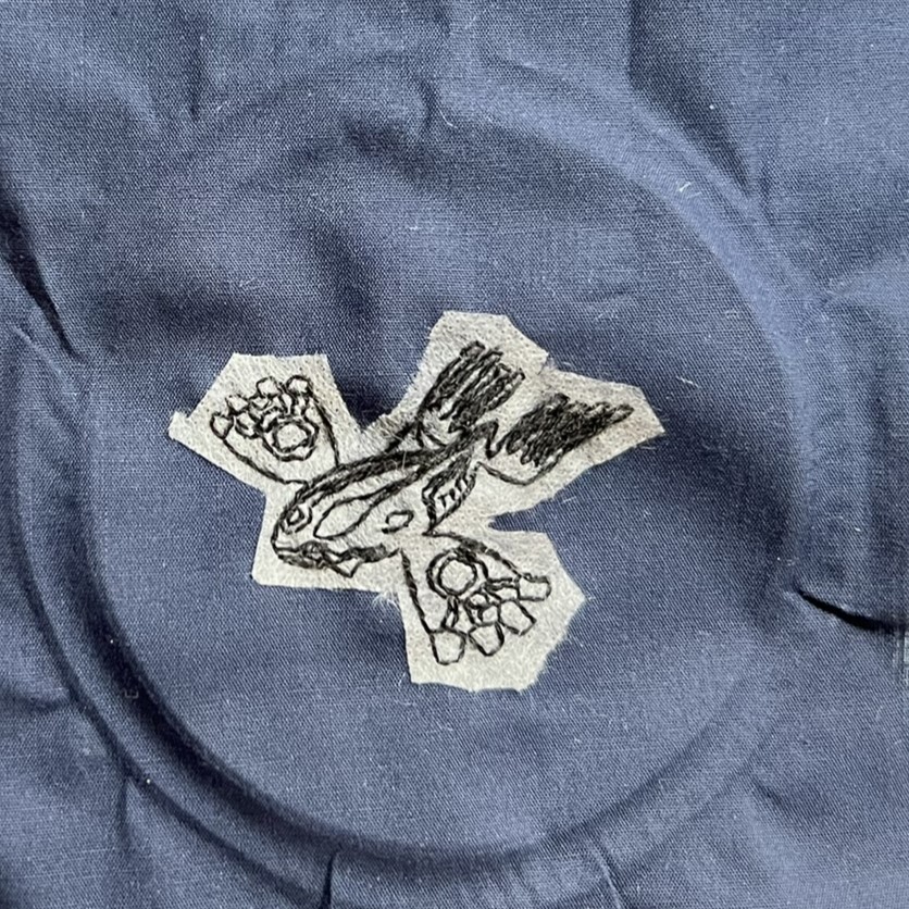 ポケモン　刺繍　カイオーガ